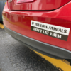 New York Bumper Stickers | Custom Vinyl Stickers